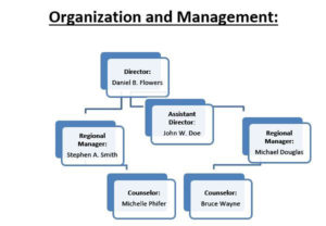 A generic organizational chart displaying three levels of a fictional organization